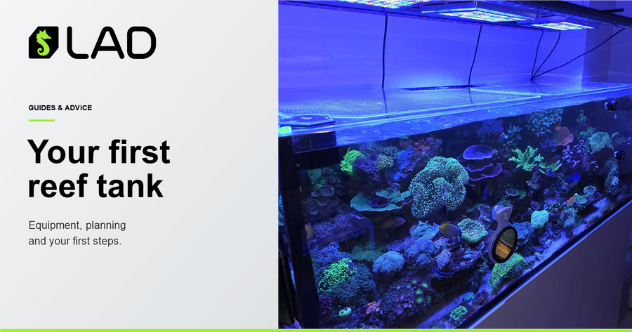 LAD Guides & Advice: Your first reef tank, with a reef aquarium photograph and the LAD logo on a soft grey background