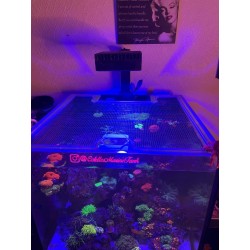 G1/G2 Red Sea Reefer XL200...