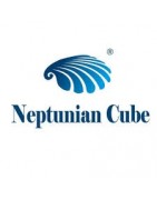 Neptunian
