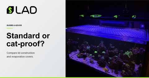LAD Guides & Advice: Standard vs cat-proof aquarium lids and evaporation covers