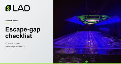 LAD Guides & Advice: Aquarium escape-gap checklist: light mounts, cables and feeding openings