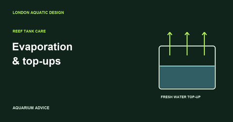 Illustration of water evaporating from an aquarium