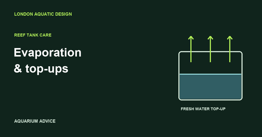 Illustration of water evaporating from an aquarium