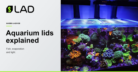 LAD Guides & Advice: The Complete Guide to Aquarium Lids: Fish, Evaporation and Light