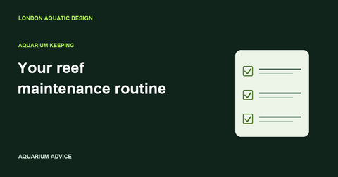 Illustrated aquarium maintenance checklist