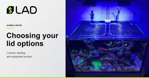 LAD Guides & Advice: Choosing your aquarium lid options: a practical guide
