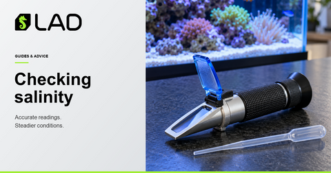LAD Guides & Advice: Understanding reef tank salinity and taking accurate readings