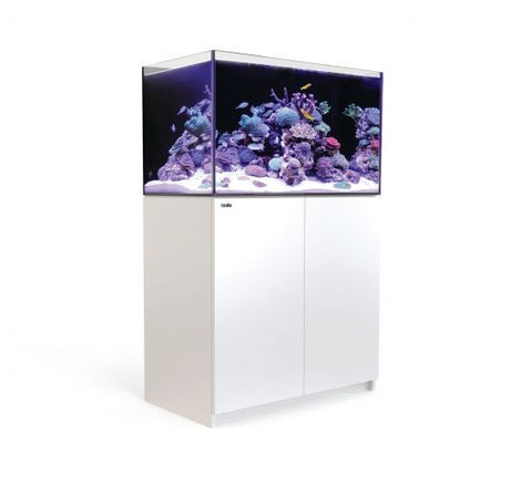 Red Sea Reefer Lids