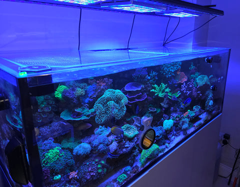 G1/G2 Red Sea Reefer XL525 Polycarbonate Pro Lid