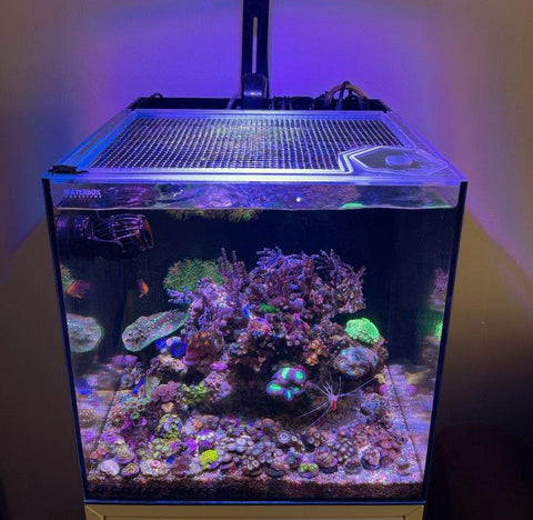 Waterbox Cube 10 Pro Lid