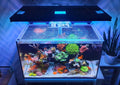 G1/G2 Red Sea Reefer 250 Polycarbonate Pro Lid