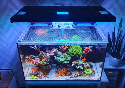 G1/G2 Red Sea Reefer 250 Polycarbonate Pro Lid