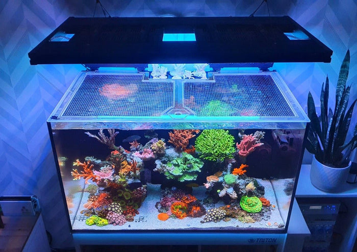 G1/G2 Red Sea Reefer 250 Polycarbonate Pro Lid