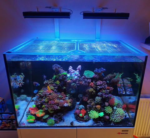 Aquaforest OceanGuard 435 Pro Lid