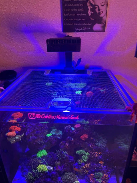 G1/G2 Red Sea Reefer XL200 Pro Lid
