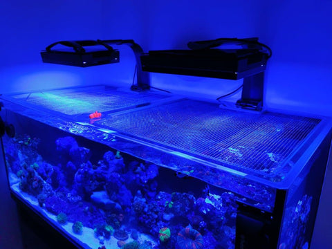 D-D 1200 Pro Polycarbonate Pro Lid