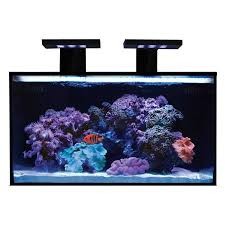 Innovative Marine Nuvo 20 Polycarbonate Pro Lid