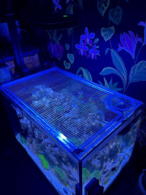 Fluval Evo 52 Polycarbonate Pro Lid