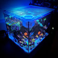 Waterbox Peninsula Mini 15 Pro Lid