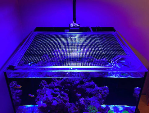Waterbox Cube 20 Pro Lid