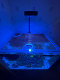 Aqua One Mini Reef 120 Pro Lid