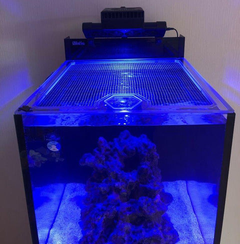 Red Sea Reefer Max Nano Peninsula Pro Lid