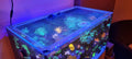 TMC Reef Habitat 90 Polycarbonate Pro Lid