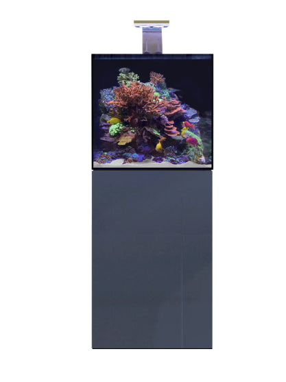 D-D Aqua-Reef Pro 600 Cube Polycarbonate Lid