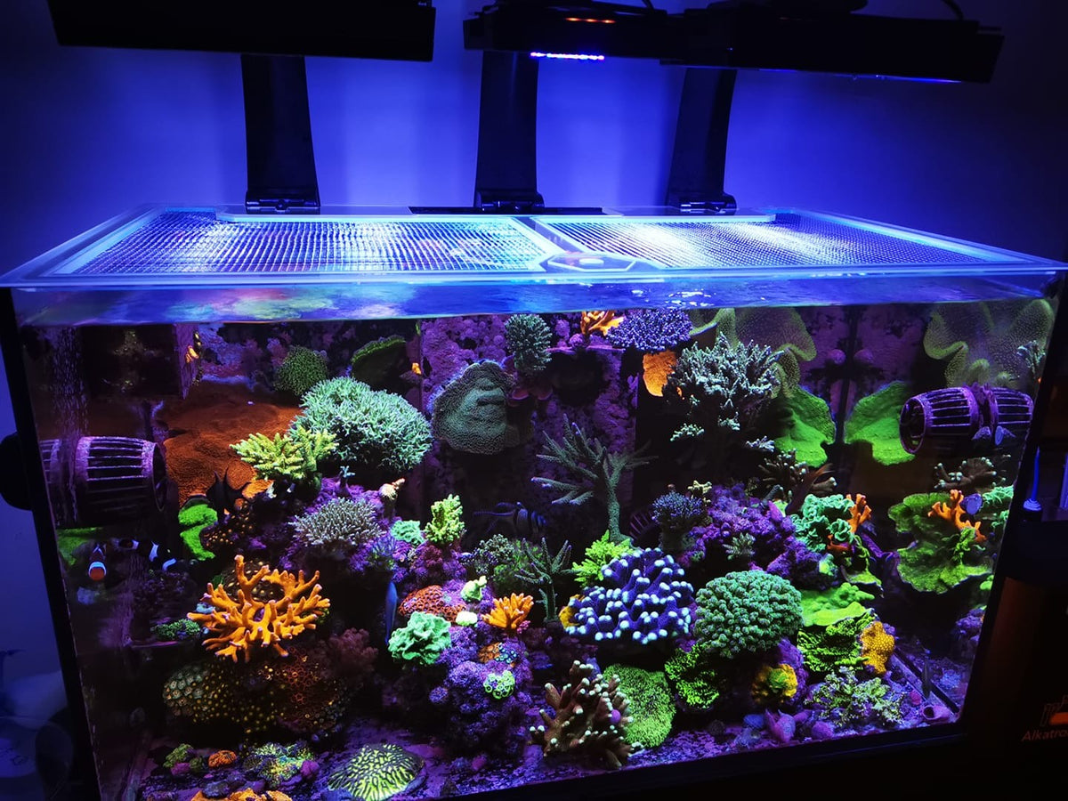 G1/G2 Red Sea Reefer 350 Polycarbonate Pro Lid