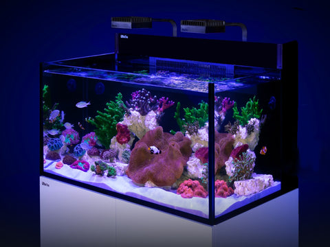 Red Sea Reefer Max Nano G2 XXL Pro Lid