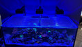 G1/G2 Red Sea Reefer XXL750 Polycarbonate Pro Lid