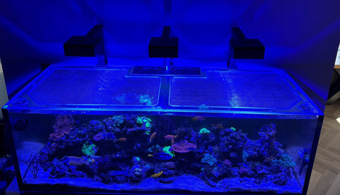 G1/G2 Red Sea Reefer XXL750 Polycarbonate Pro Lid