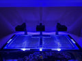 Red Sea Reefer Peninsula G2+ S-950 Polycarbonate Pro Lid