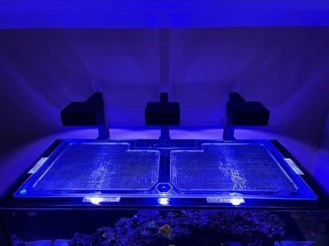 Red Sea Reefer Peninsula G2+ S-950 Polycarbonate Pro Lid
