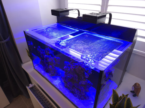 Red Sea Reefer Max Nano G2 XXL Pro Lid