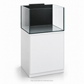 Original illustrative render of Waterbox Marine EX 60.2; LAD aquarium lid sold separately.