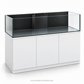 Original illustrative render of Waterbox Infinia Frag 155.5; LAD aquarium lid sold separately.