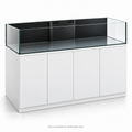 Original illustrative render of Waterbox Infinia Frag 175.6; LAD aquarium lid sold separately.