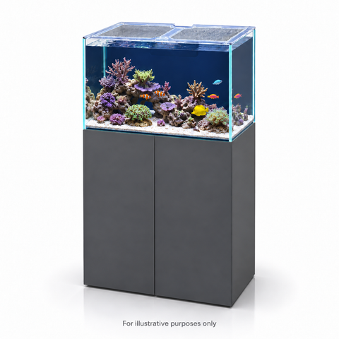 Nyos OPUS G2 250 Polycarbonate Pro Lid